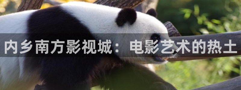 星海之外定档海报