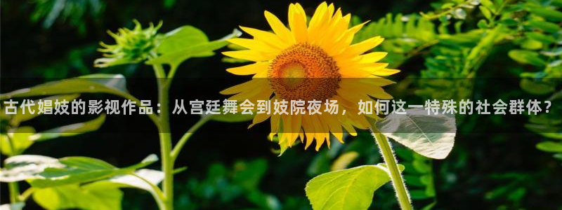 星海之外定档海报