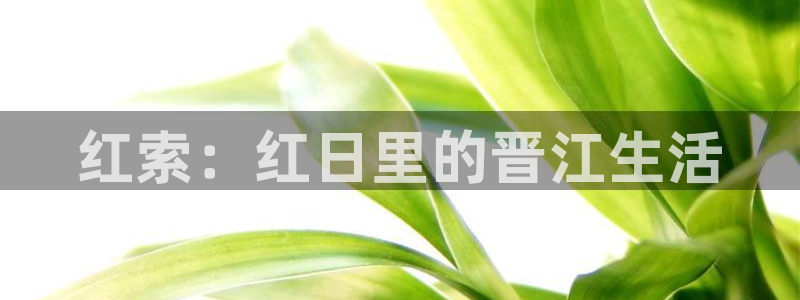 星海之外定档海报