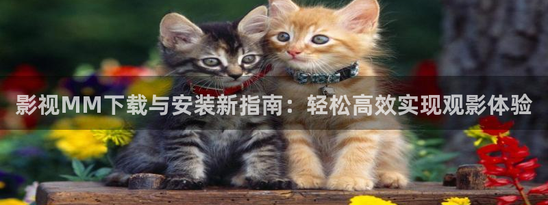星海之外定档海报