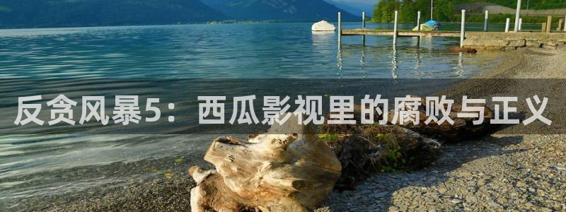 星海之外定档海报