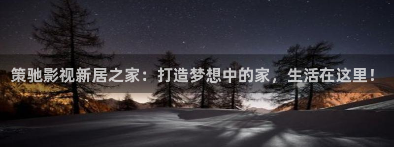 星海之外定档海报