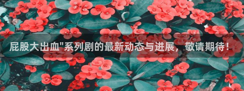 星海之外定档海报